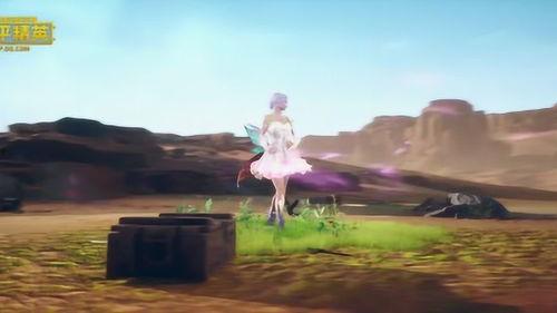 春暖花开最新爆料,揭秘最新爆料背后的精彩故事