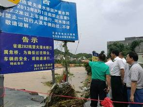 今日头条电白网友爆料,惊现惊人事件，真相令人震惊！